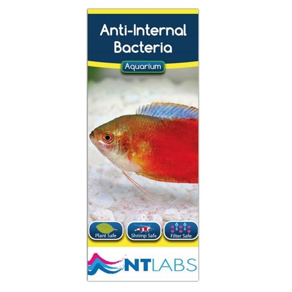 NT LABS Aquarium Anti-Internal Bacteria