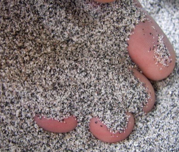 zebra Salg ligevægt JBL Sansibar Grey 5kg (pH neutral sand) — East Ocean Aquatic