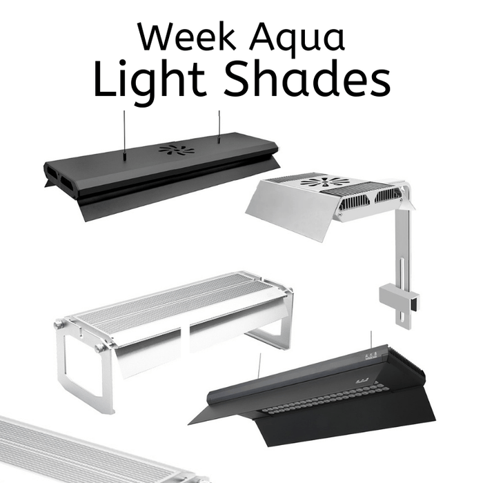 Week Aqua - Light Shades (L/M/P/Z - Series) — East Ocean Aquatic