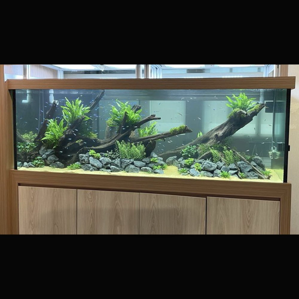 We Create an AQUASCAPE Tank for you