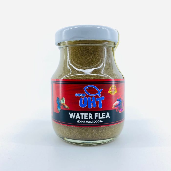 UHT Water Flea / Moina Macrocopa - 75g (Bottled)