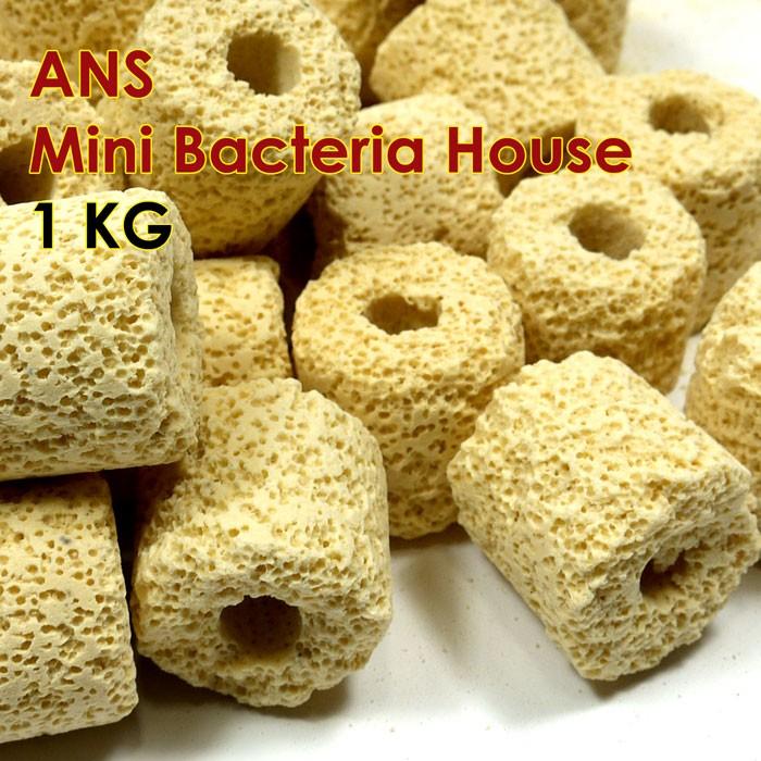 ANS Mini Bacteria House (2.5cm) 1kg