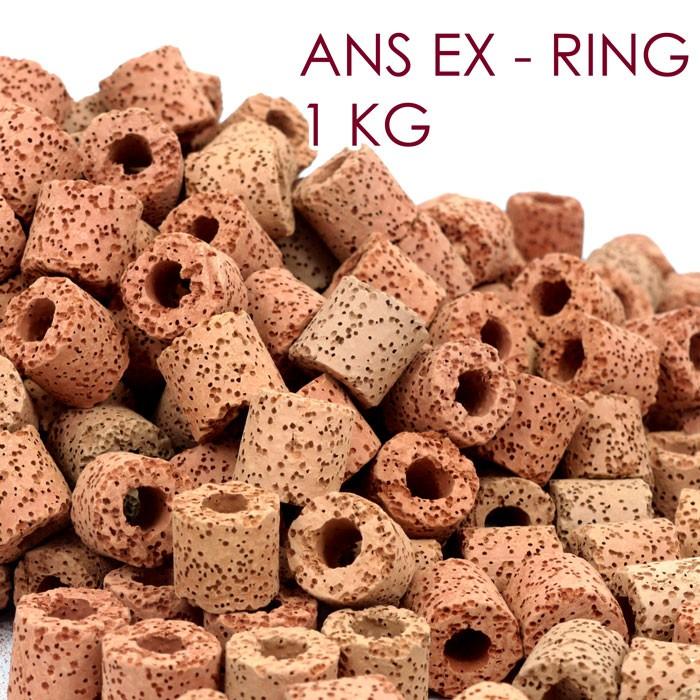 ANS EX Ring 1kg (Red)