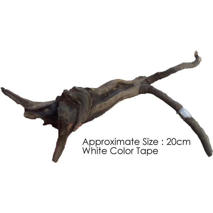 ANS Old Black Driftwood S (10-20cm)