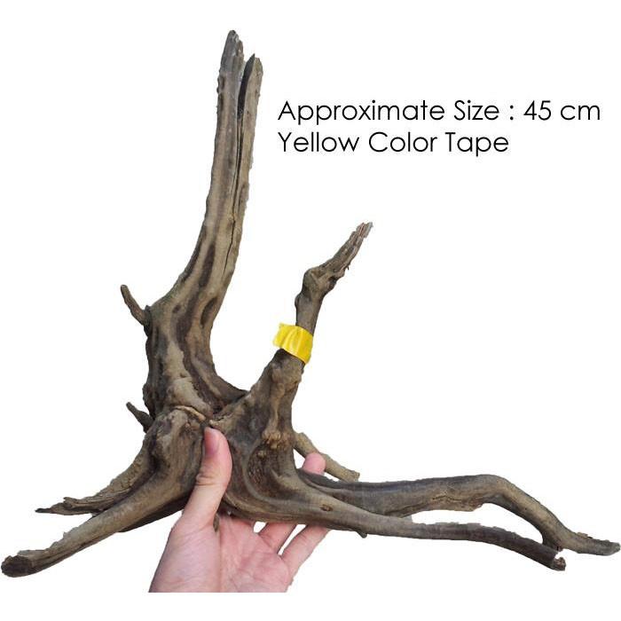 ANS Old Black Driftwood L (50cm)