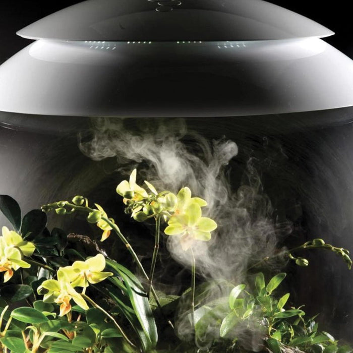 biOrb AIR 30 Grey & White (Terrarium all in one with misting)