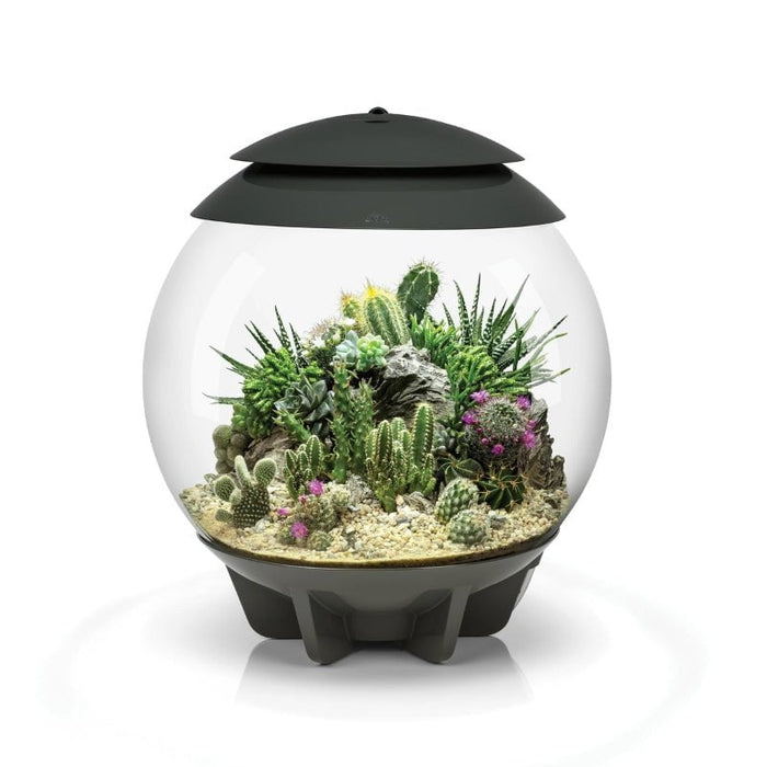 biOrb AIR 30 Grey & White (Terrarium all in one with misting)