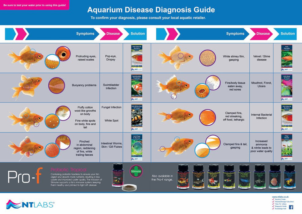 NT LABS Aquarium Disease Solve 100ml (multi cure)