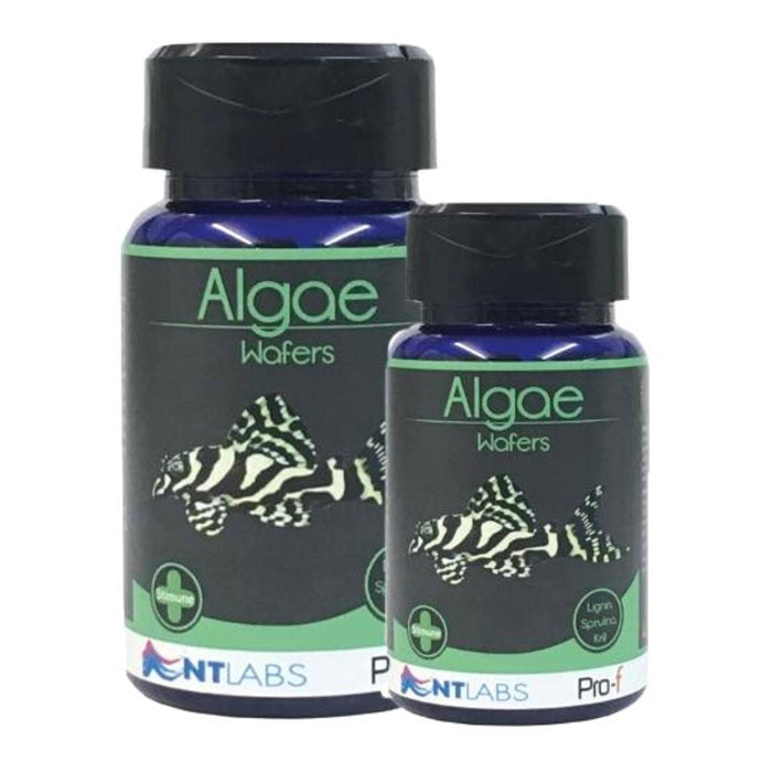 NT LABS Pro-f Algae Wafers (include lignin for wood eating fishes)