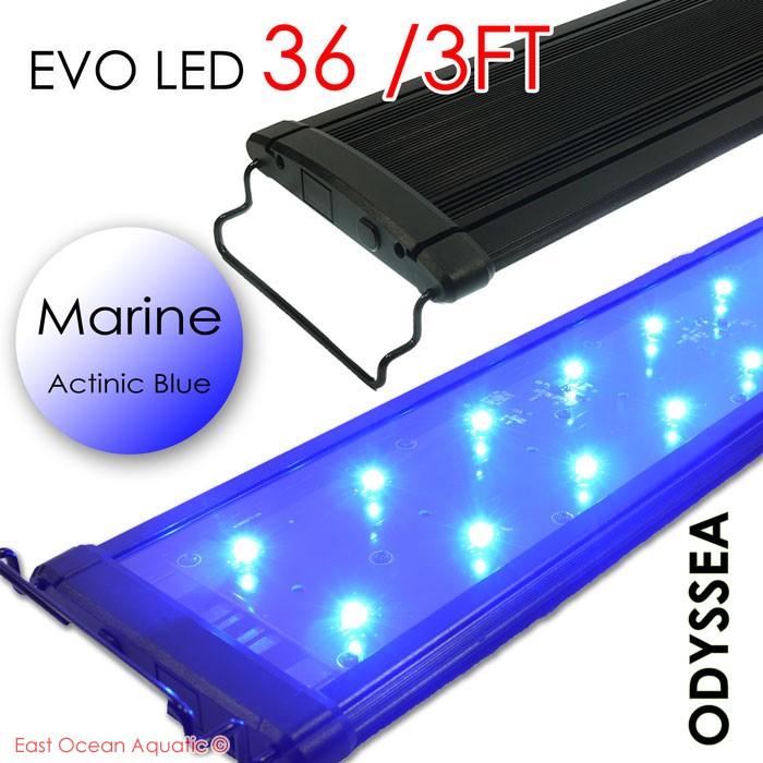 ODYSSEA EVO Led 36" 72W (MARINE- ALL BLUE)